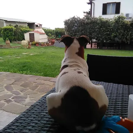 Lantgård Agriturismo Valbona Castiglione della Pescaia