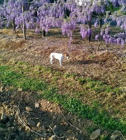 Lantgård Agriturismo Valbona Castiglione della Pescaia